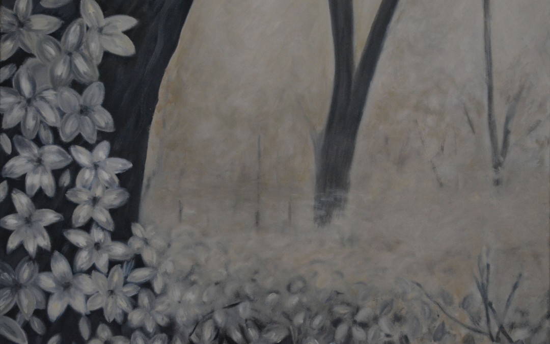 La neblina entre los árboles